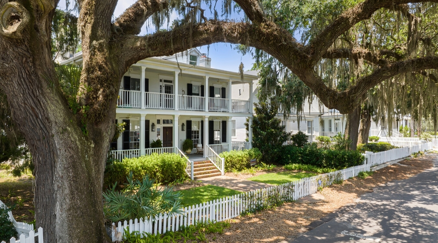 Sandfly | Corinne Brown