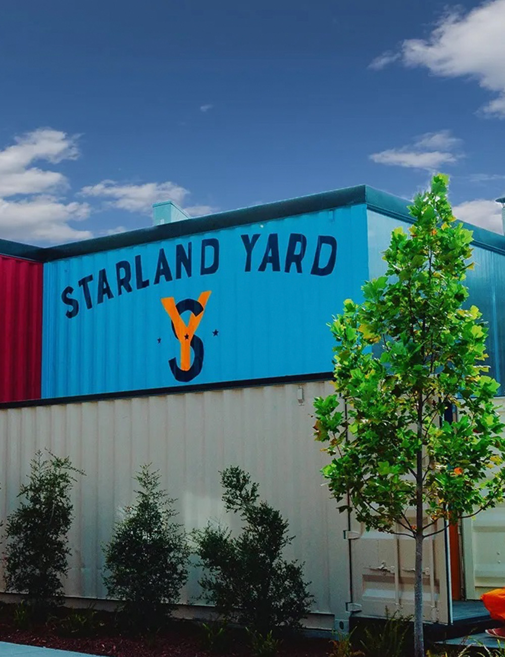 Starland | Corinne Brown
