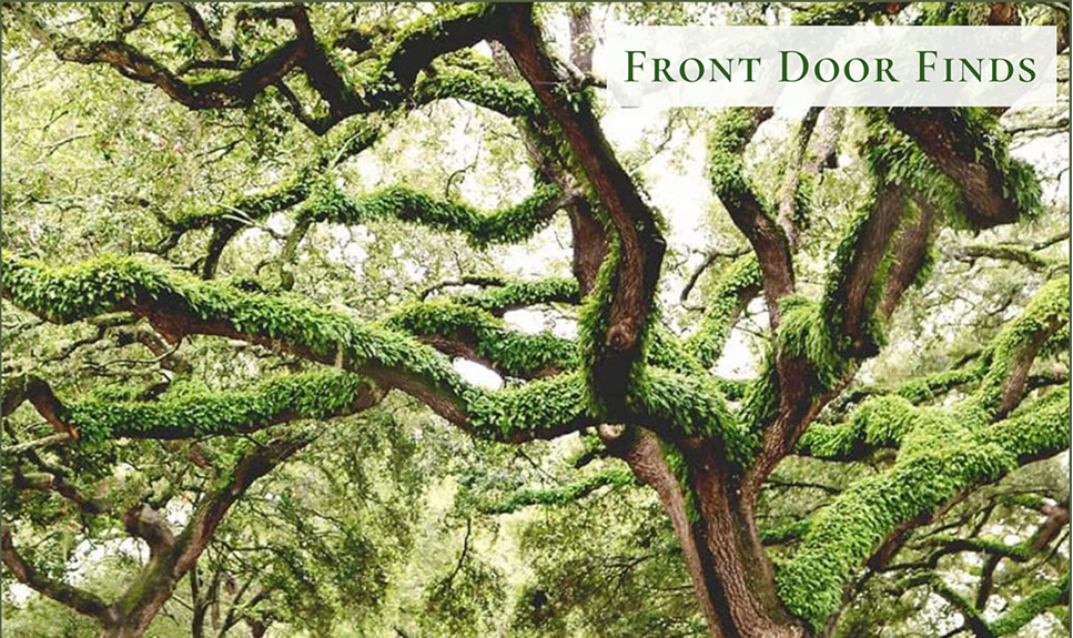 BEYOND THE FRONT DOOR featured image